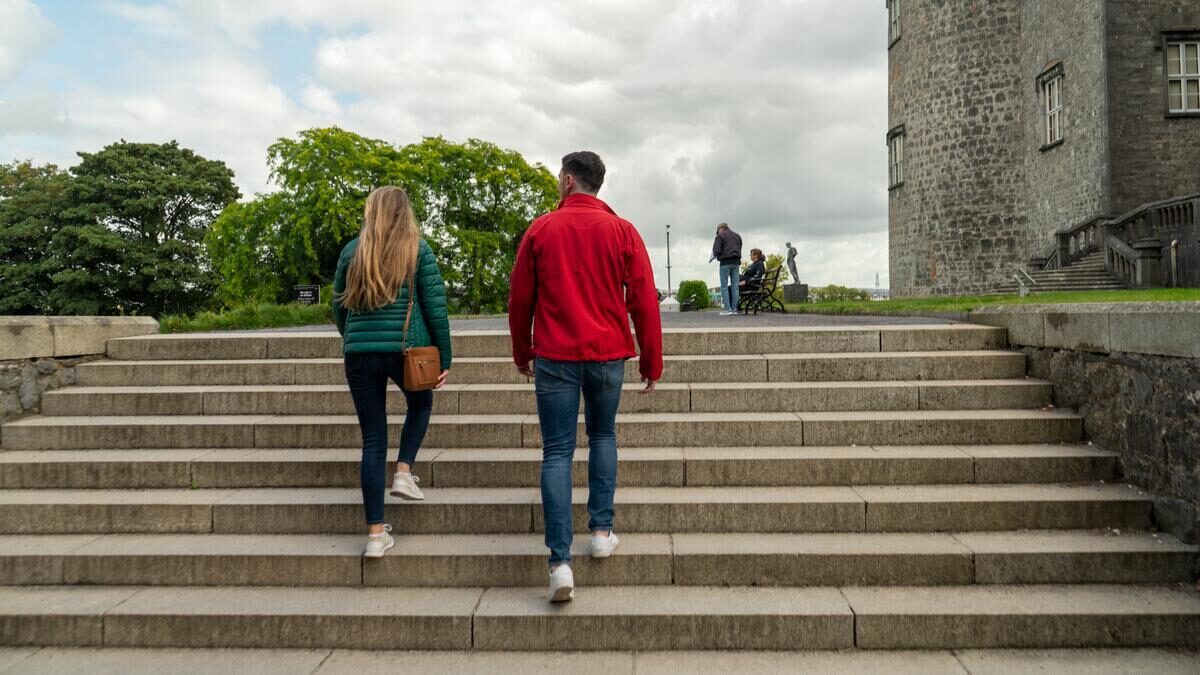 Kilkenny Castle, Kilkenny City