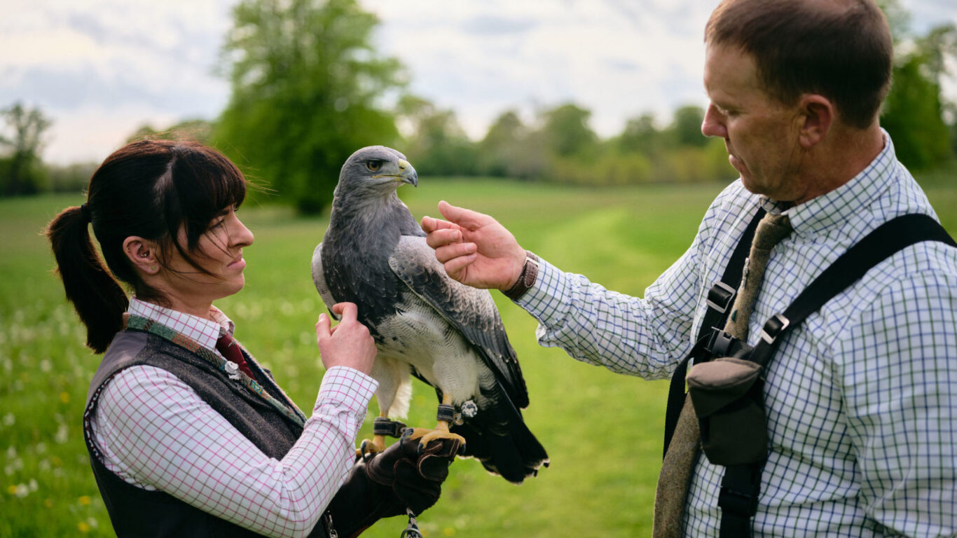 Lyrath_Estate_Falconry_26_Jack_Hardy_2022-1920×1080-fp_mm-fpoff_0_0 (1)